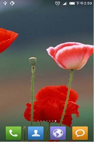 唯美动态壁纸 1.7.9截图4 唯美动态壁纸 1.7.9截图4