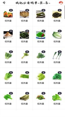 瘦瘦快减肥 6.0截图2