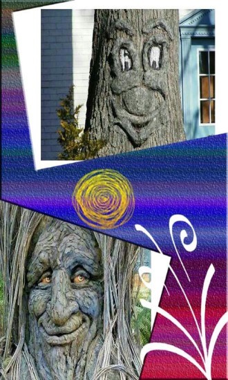 美美相框照相机 8081.20.8.8截图3