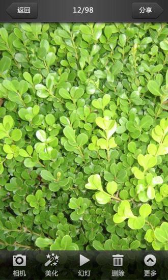 美图看看 v0.9.3截图3