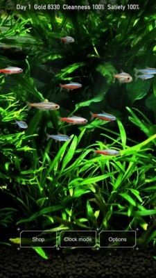 热带鱼缸 1.3截图1 热带鱼缸 1.3截图1