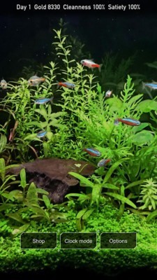 热带鱼缸 1.3截图3 热带鱼缸 1.3截图3