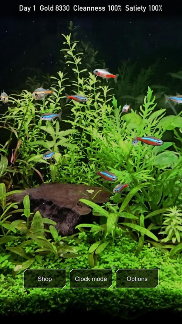 热带鱼缸 1.3截图4 热带鱼缸 1.3截图4