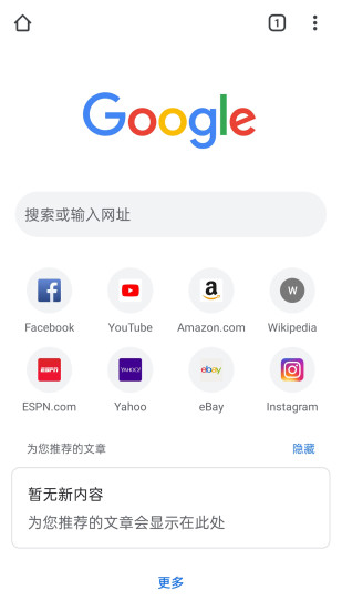 谷歌浏览器Google截图1