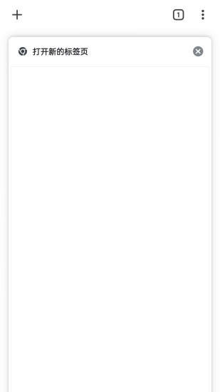 谷歌浏览器Google截图3