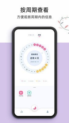柠檬小月截图3